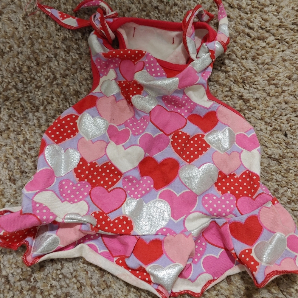 Valentine's dog dress